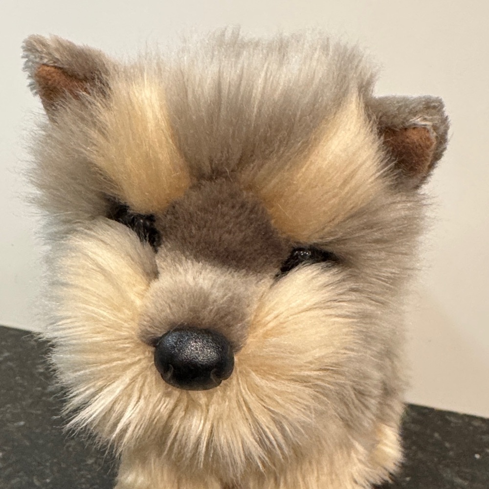 Douglas Cuddle Toys -Yorkshire Terrier Dog Plush Stuffed 11” - Picture 2 of 9